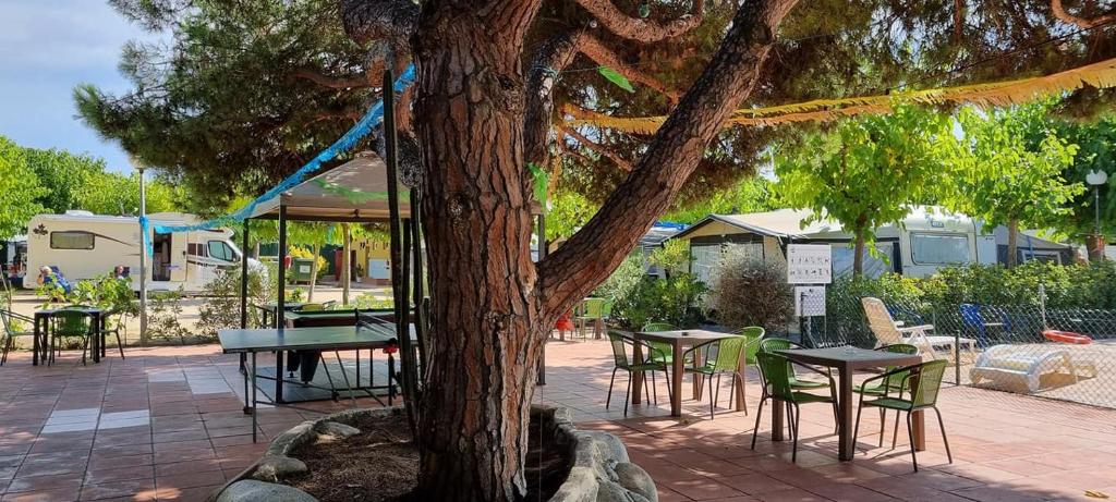 Camping el Pinar Platja, Santa Susanna (updated prices 2026)