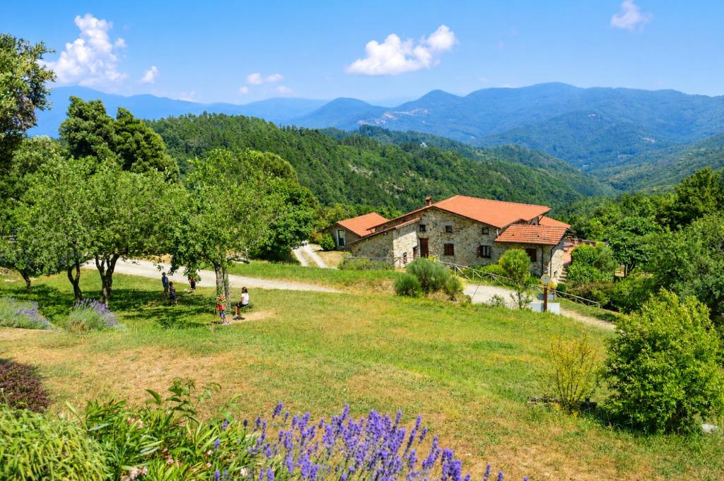 a house in a field with mountains in the background at Agriturismo Giandriale in Tavarone
