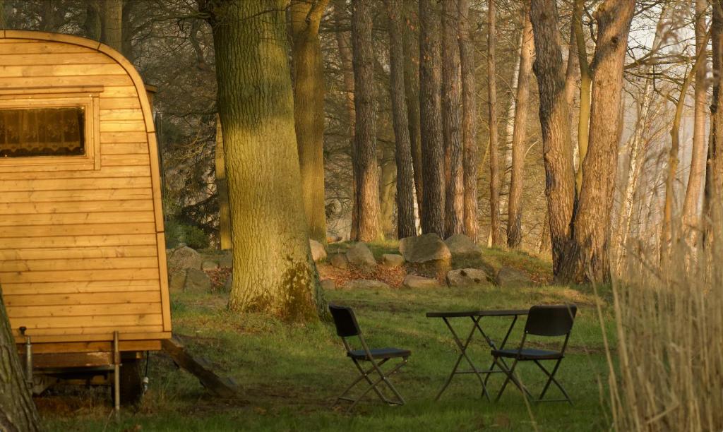 two chairs and a table in a forest at Schlaffass direkt am See in Heideblick