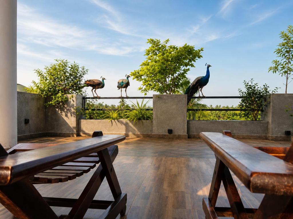 three ostriches standing on a fence on a patio at Sunrise Eco Resort in Matara