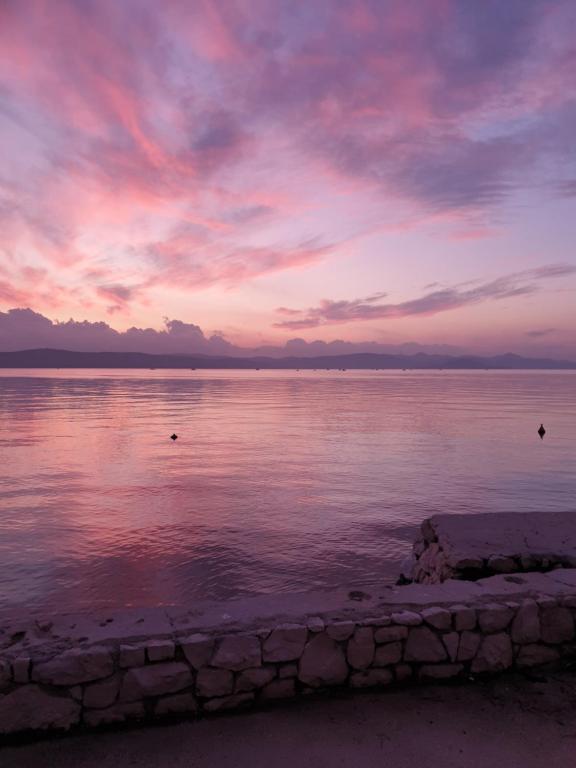 a sunset over a body of water with birds in the water at Apartment Velika obala in Bibinje