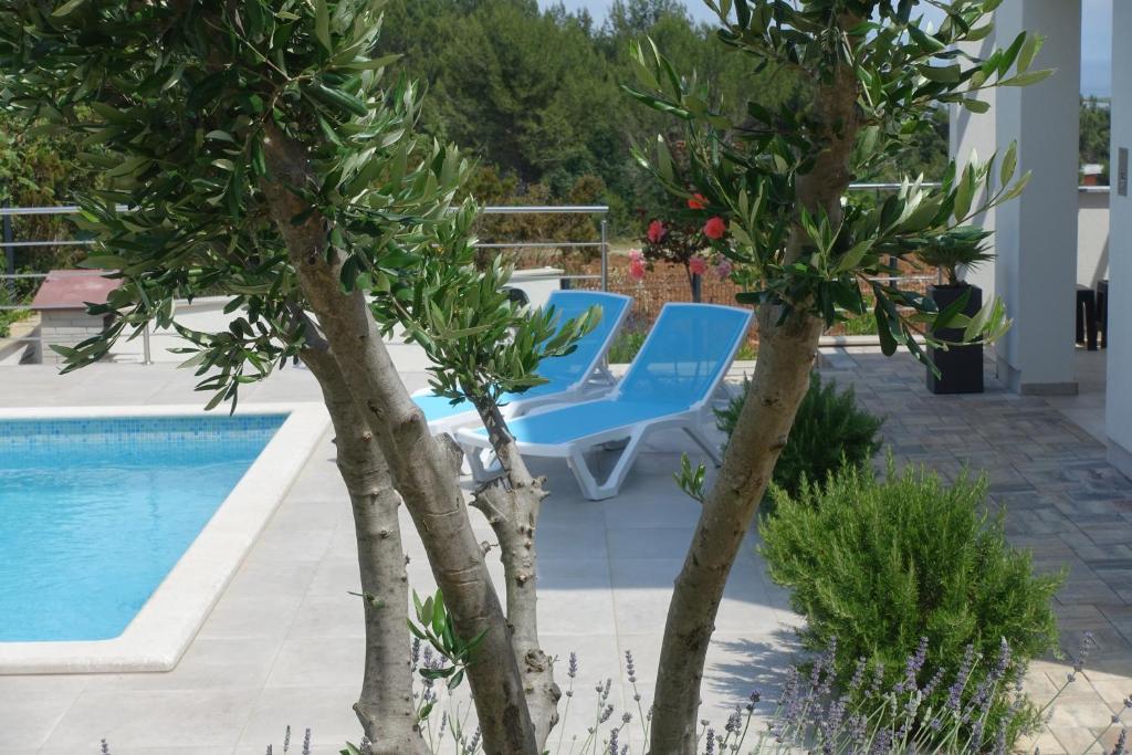 a patio with two blue chairs and trees next to a swimming pool at Villa Mare in Ližnjan