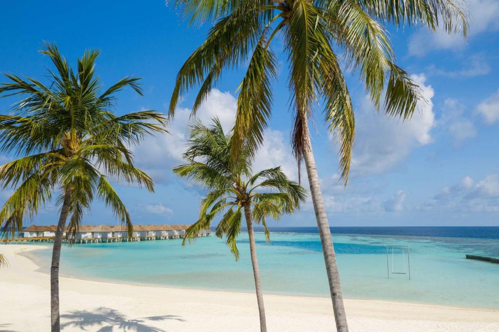 OUTRIGGER Maldives Maafushivaru Resort - View 23