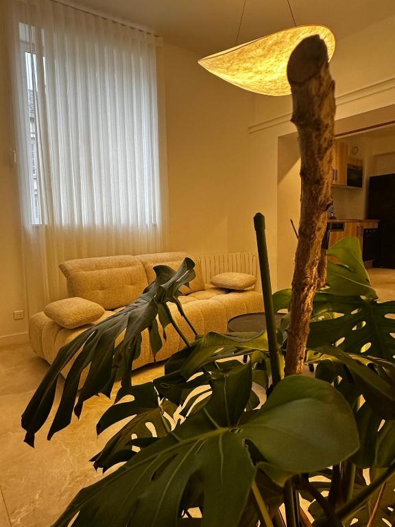 a living room with a couch and a plant at Hyper centre ville de Reims avec parking in Reims