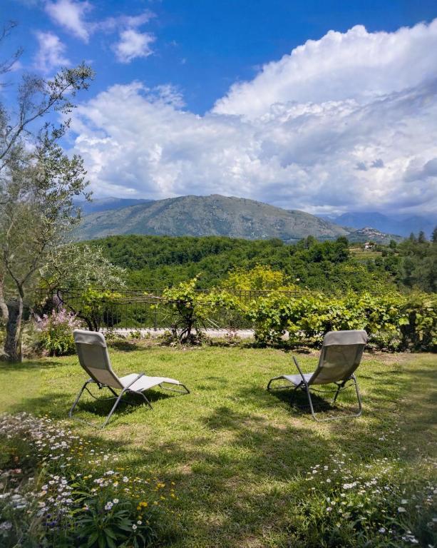 two chairs sitting in the grass with a mountain in the background at Belvedere da Fernanda in Fontechiari