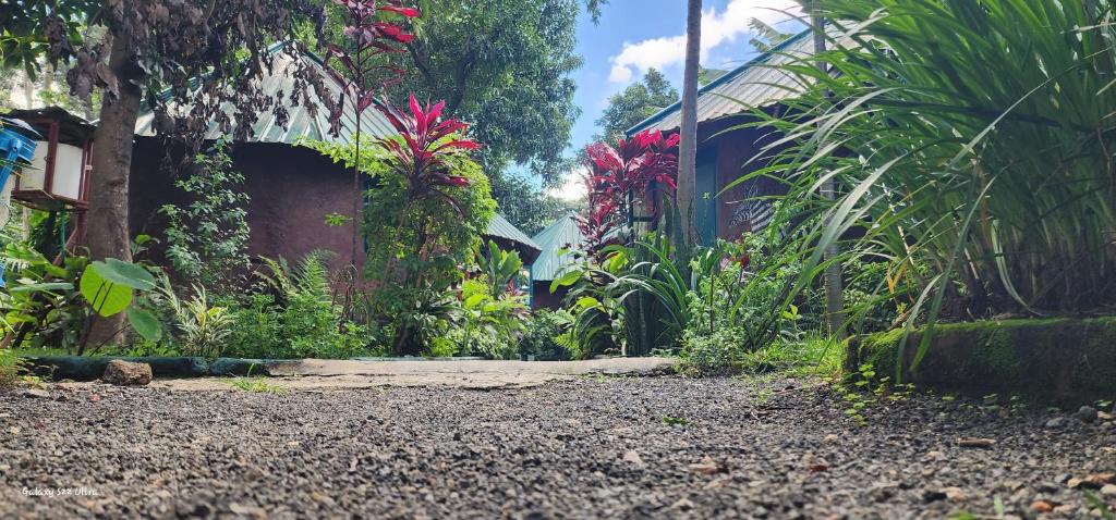 a garden with flowers and plants on the side of a building at Kizumba House in Arusha