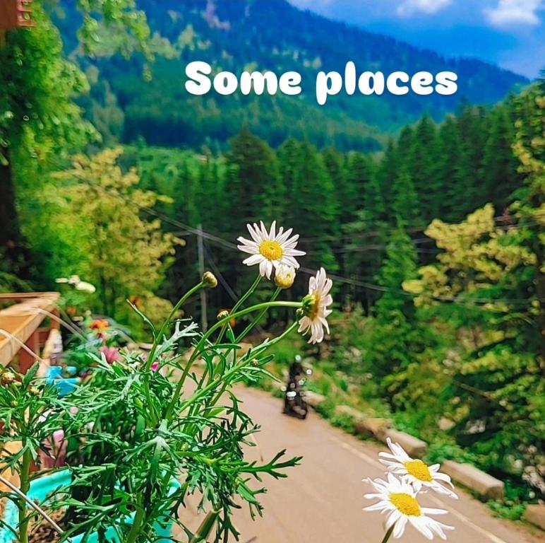 a person riding a bike down a road with some flowers at Celestia Riverside Retreat in Manāli
