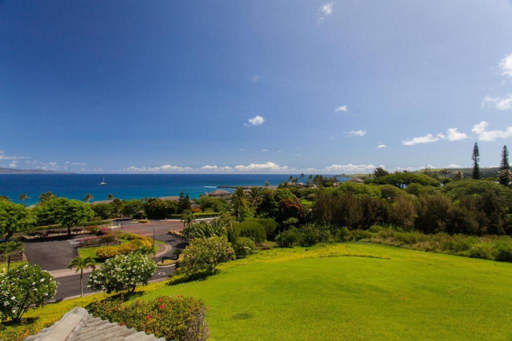 an aerial view of a park with the ocean in the background at 411 Ridge in Kahana