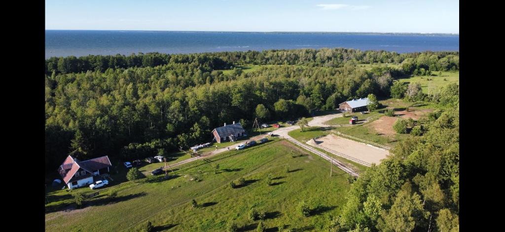 an aerial view of a field with a farm and the ocean at Metsatoa in Alliklepa