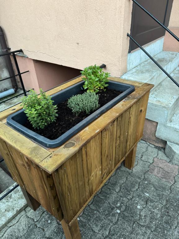 Just In Colmar, maison complète avec parking privé – photo 48
