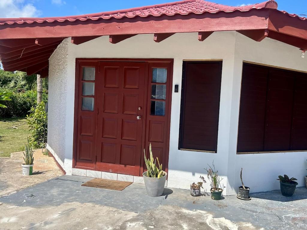 a red door of a house with potted plants at Luxury Oasis Villa in Silver Sands