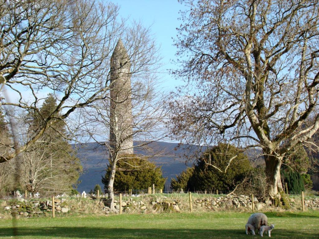 un pastoreo de ovejas en un campo con una torre en Glendalough International Youth Hostel, en Laragh