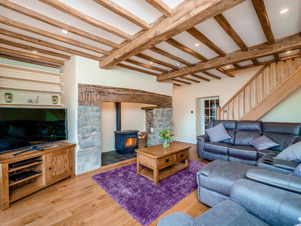 a living room with a couch and a tv and a fireplace at Rhiew Banc in Aberhafesp
