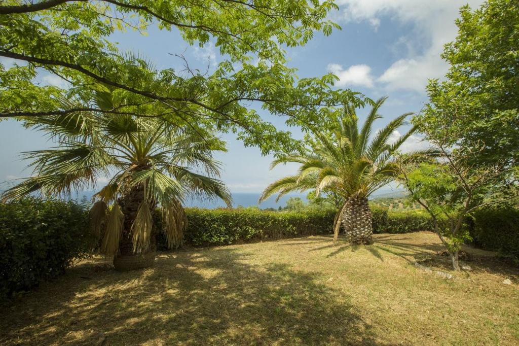 two palm trees in a field with the ocean in the background at Villa Thea in Kalogria