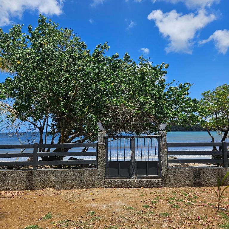 a gate with a tree in front of the ocean at Charmante villa bord de mer les pieds dans l'eau in La Trinité