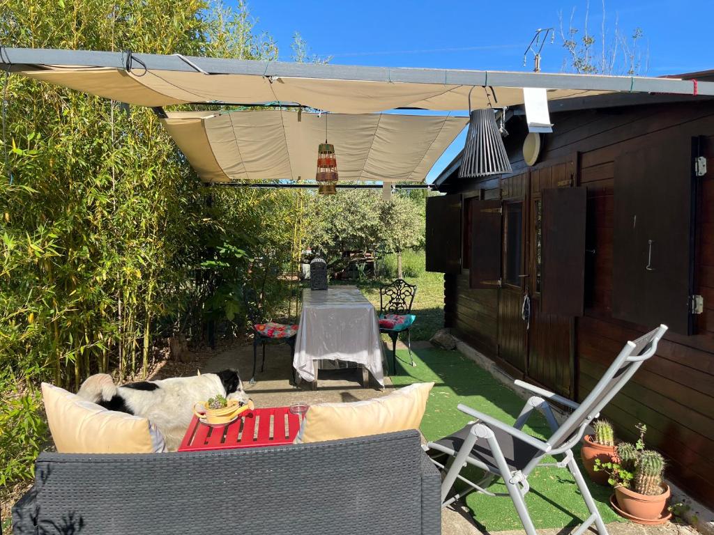 a dog laying on a table under an umbrella at Chalet des oliviers 10mn CV Béziers dans propriété bien pour cyclistes in Béziers