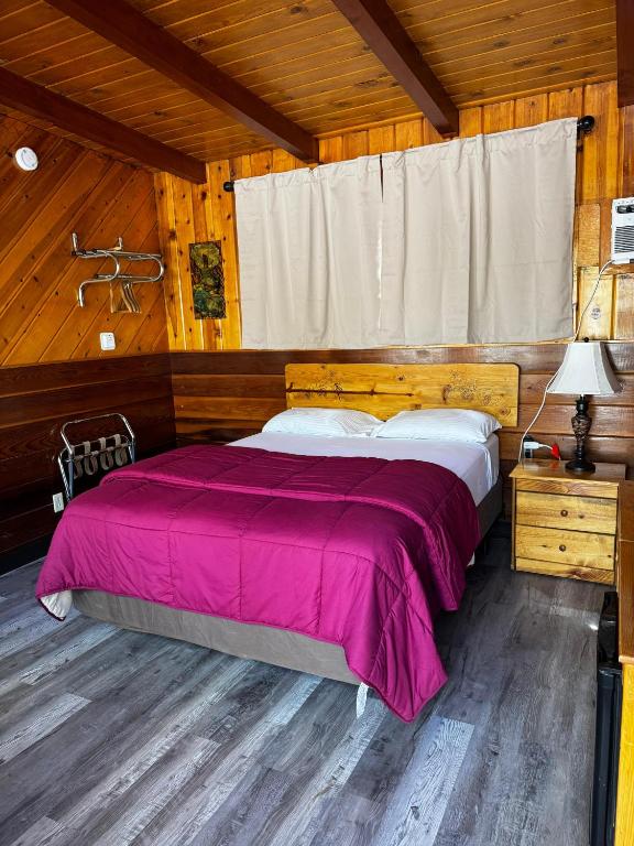 Toiyabe Motel - Chambre Lit Queen-Size