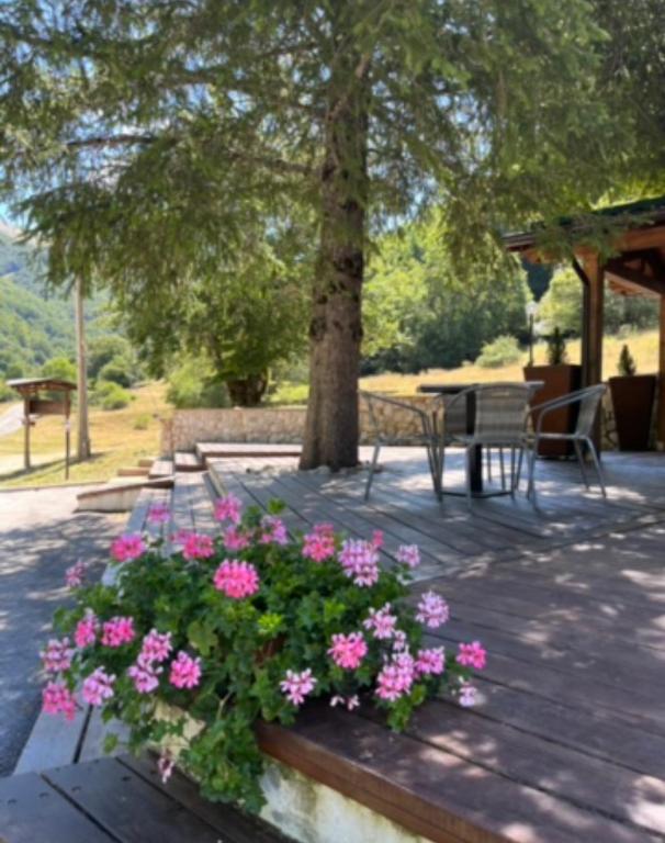 a bunch of pink flowers sitting on a wooden bench at HOTEL CAMPO STELLA in Leonessa