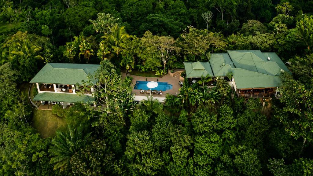 an aerial view of a house in the forest at Alma de Ojochal in Ojochal