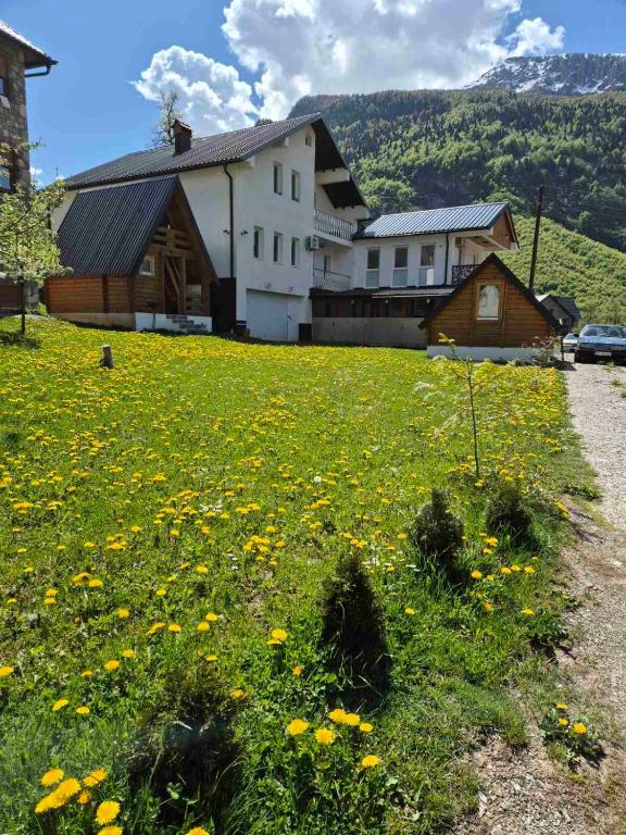 a field of flowers in front of a building at Nana Time Guesthouse in Vusanje
