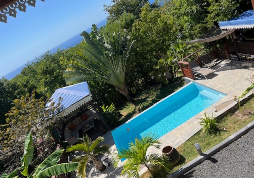 a swimming pool in a garden with a view of the ocean at Gite La Tortue Bleue piscine & Malendure in Bouillante
