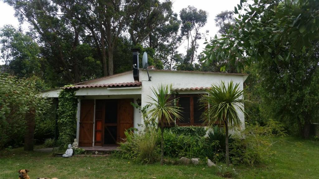 Las Palmeras في أغواس دولسيس: منزل صغير أمامه كلب