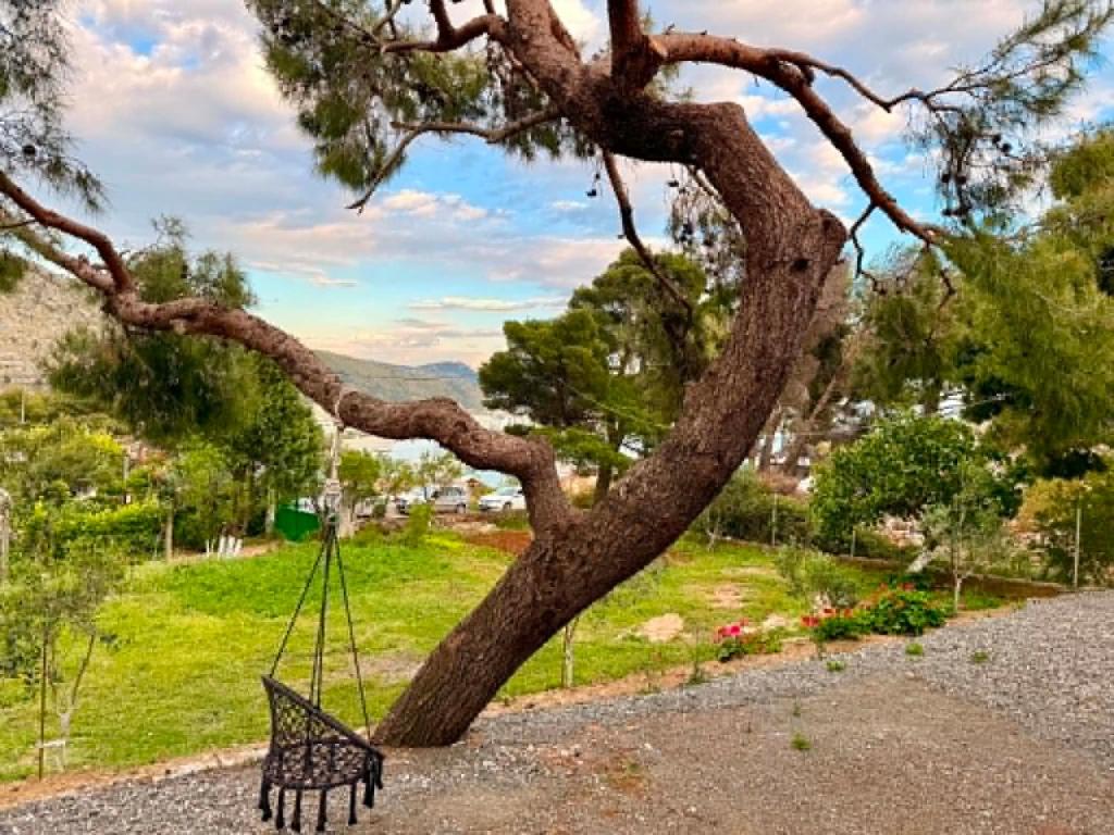 a bench sitting under a tree with a swing at Paolo's Apartments in Shëngjin