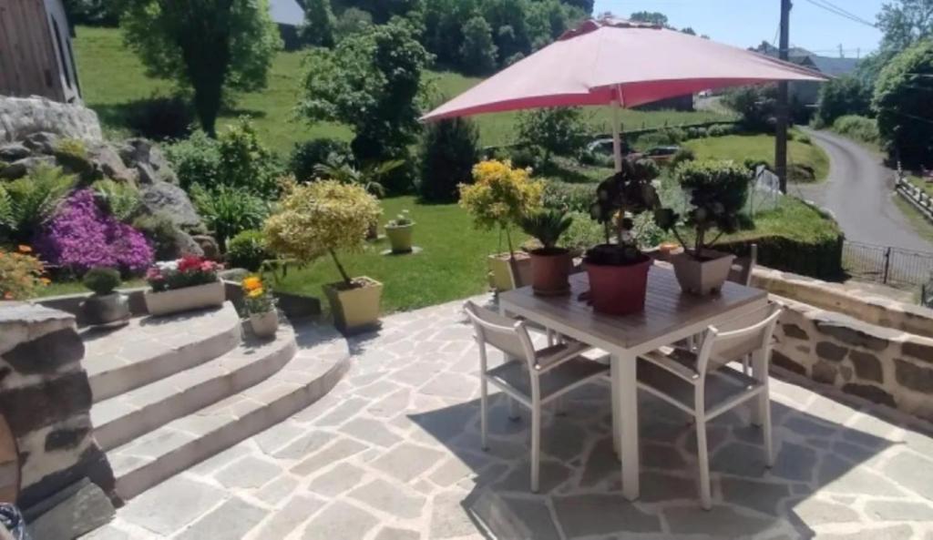 a table with an umbrella and potted plants on a patio at Un gîte paisible et frais, piscine à 3 mins in Le Monteil