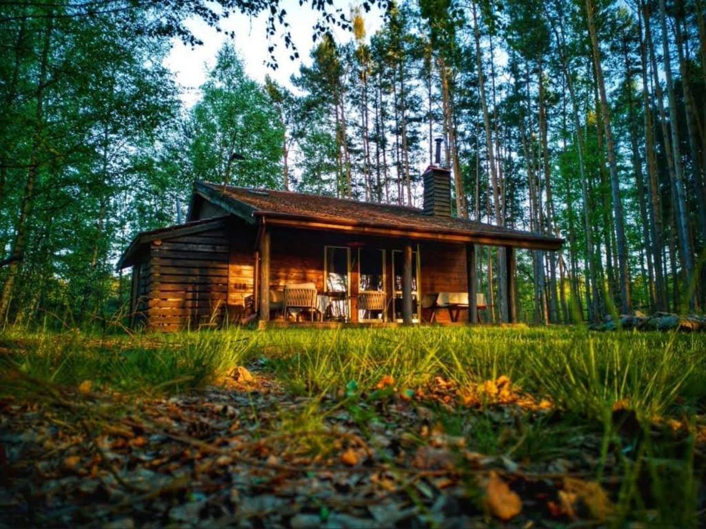 a small cabin in the middle of a forest at Leśna Chata in Bierzów