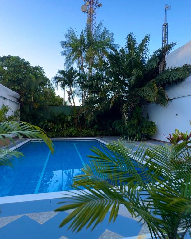 a pool in the backyard of a house with palm trees at Hotel Amazonas Real in Leticia