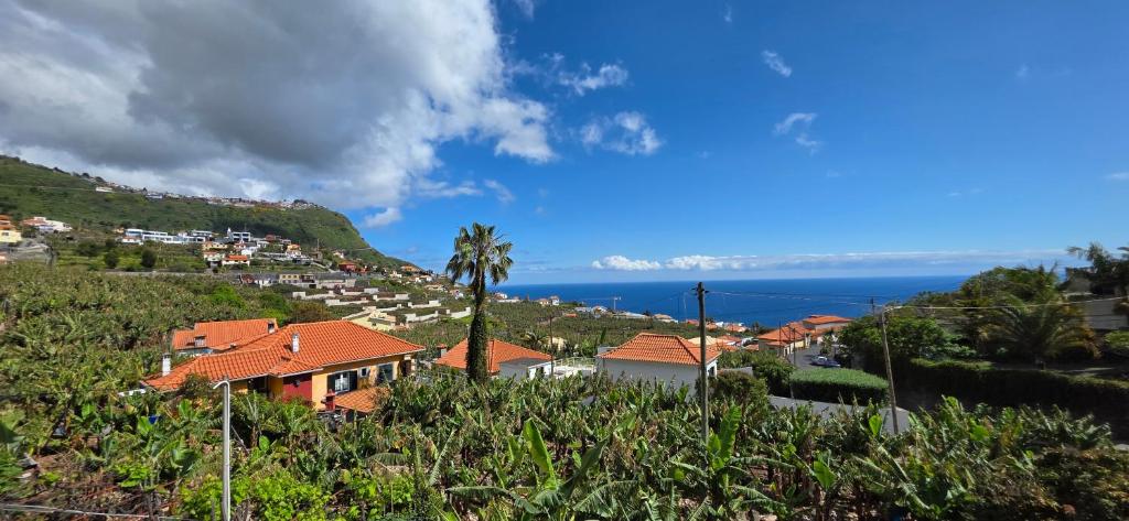 Villa Joao