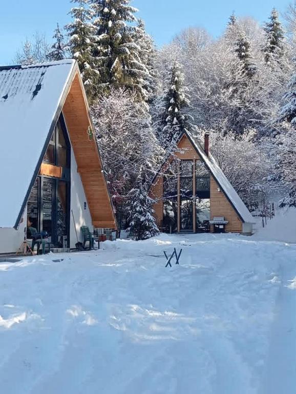 a log cabin with snow on the ground at Cabanele Infinyti in Colibiţa