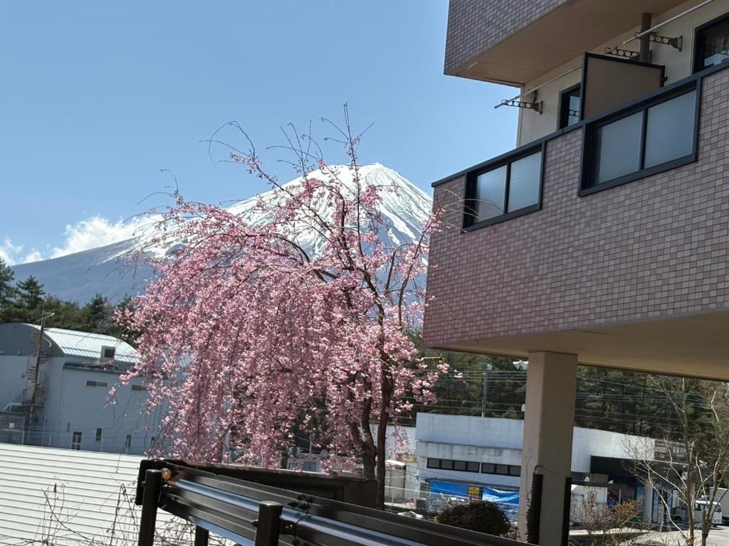 a tree with pink flowers in front of a building at サザンヒルズガーデン in Fujikawaguchiko