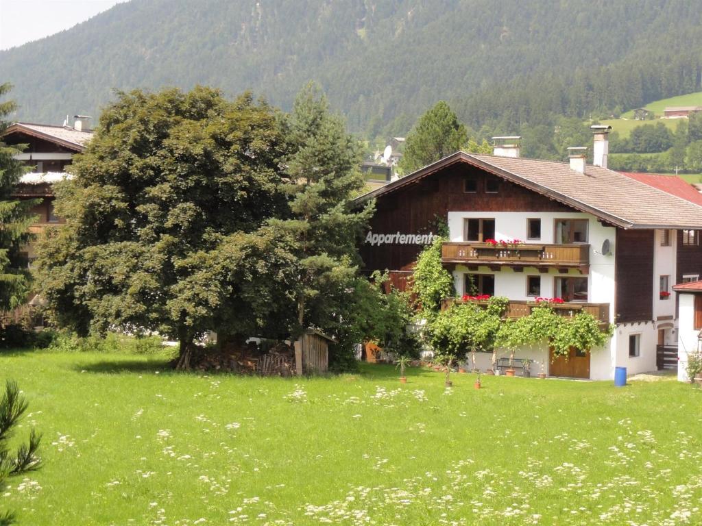 a house in a green field with a tree at App. Fam. Dr. Goldberger in Söll