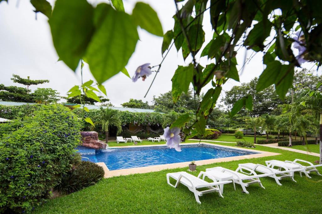 a swimming pool with lounge chairs next to a yard at Playa Potrero Apartments in Potrero