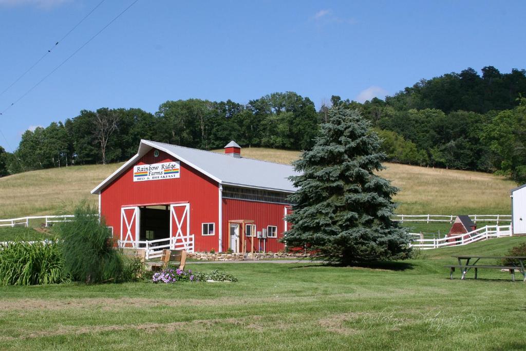 een rode schuur met een boom in een veld bij Rainbow Ridge Farms in Onalaska