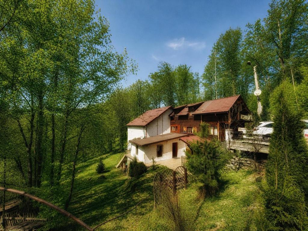 a house in the middle of a field with trees at Chalet Nomad in Petroşani