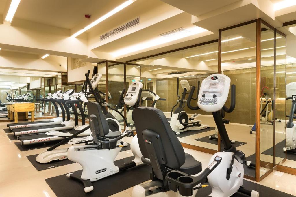 Fitness centrum a/nebo fitness zařízení v ubytování Shandori Hotel
