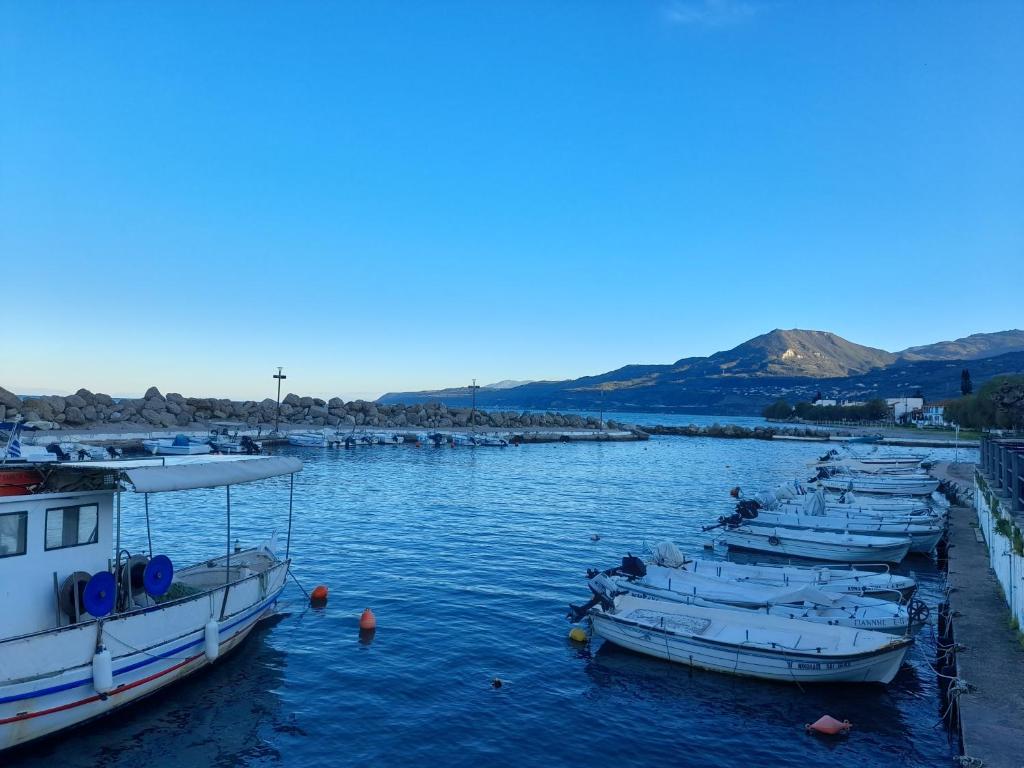 a group of boats are docked in the water at Real Apartment Αληθινή Διαμονή in Diakopto