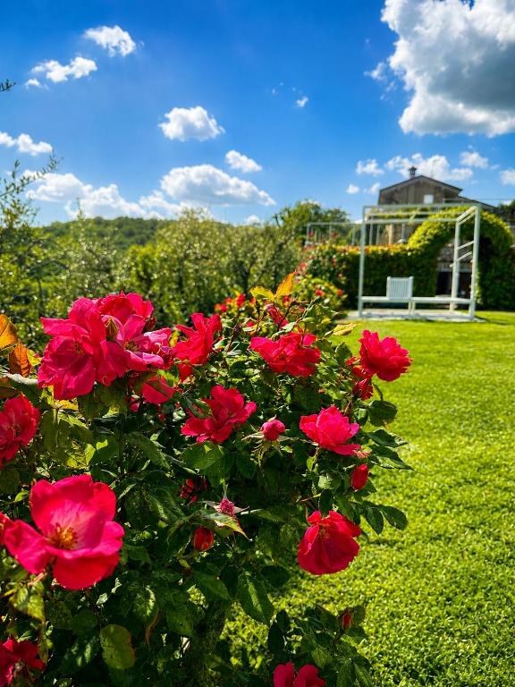 Holiday Home Sovenigo