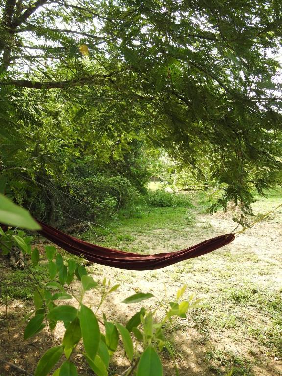 Eagles Nest Cabanas - 15