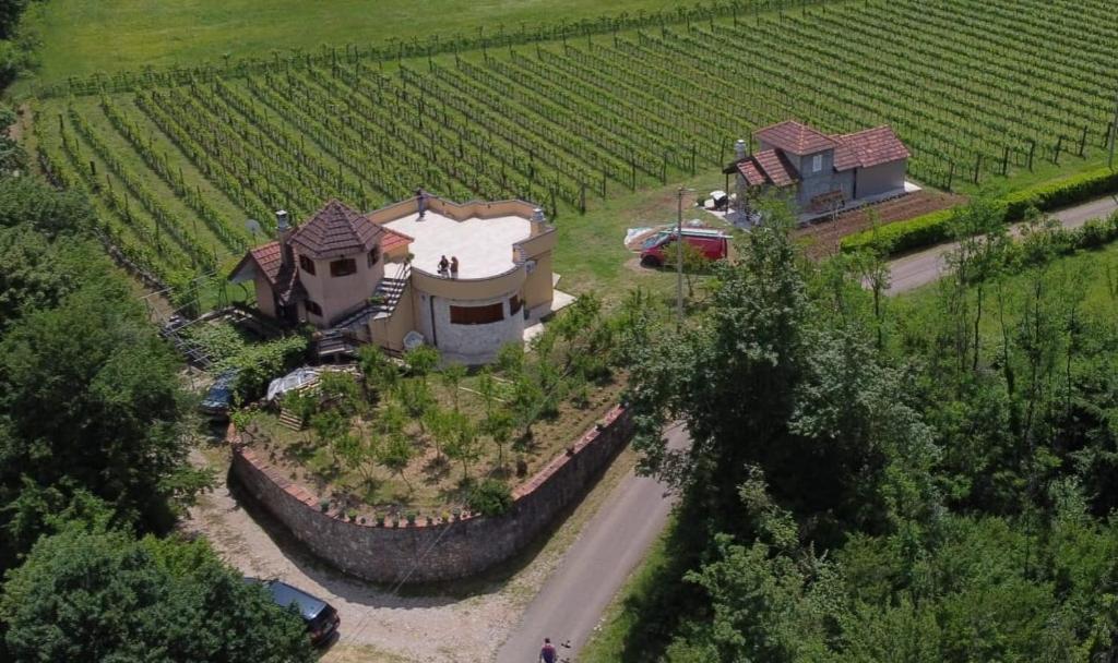 an aerial view of a house in the middle of a field at Apartman DAR Bošković Studio in Zagorak