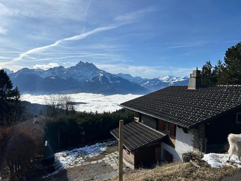 a dog standing next to a house with mountains in the background at Petite chambre à la montagne in Ollon