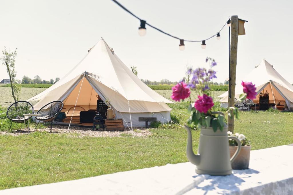 two tents in a field with flowers in a vase at Smuk Bell Tent Glamping nabij het water in Friesland in Echtenerbrug