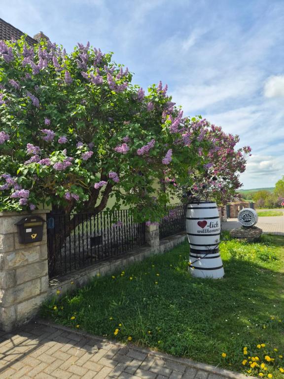 a fence with a tree with purple flowers at Weinbleibe Weingut Beyer in Dorndorf