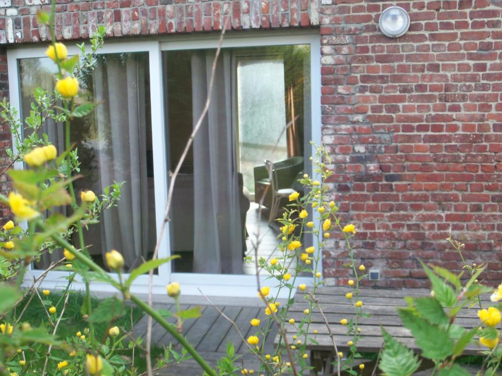 a cat is looking out of a window at Carré 138 in Lorgies