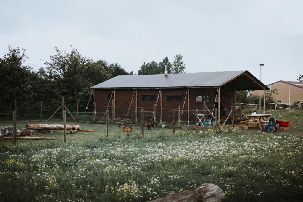 a barn with a fence and a field with flowers at Hof ter Pierlapont Brugge by Feather Down in Zedelgem