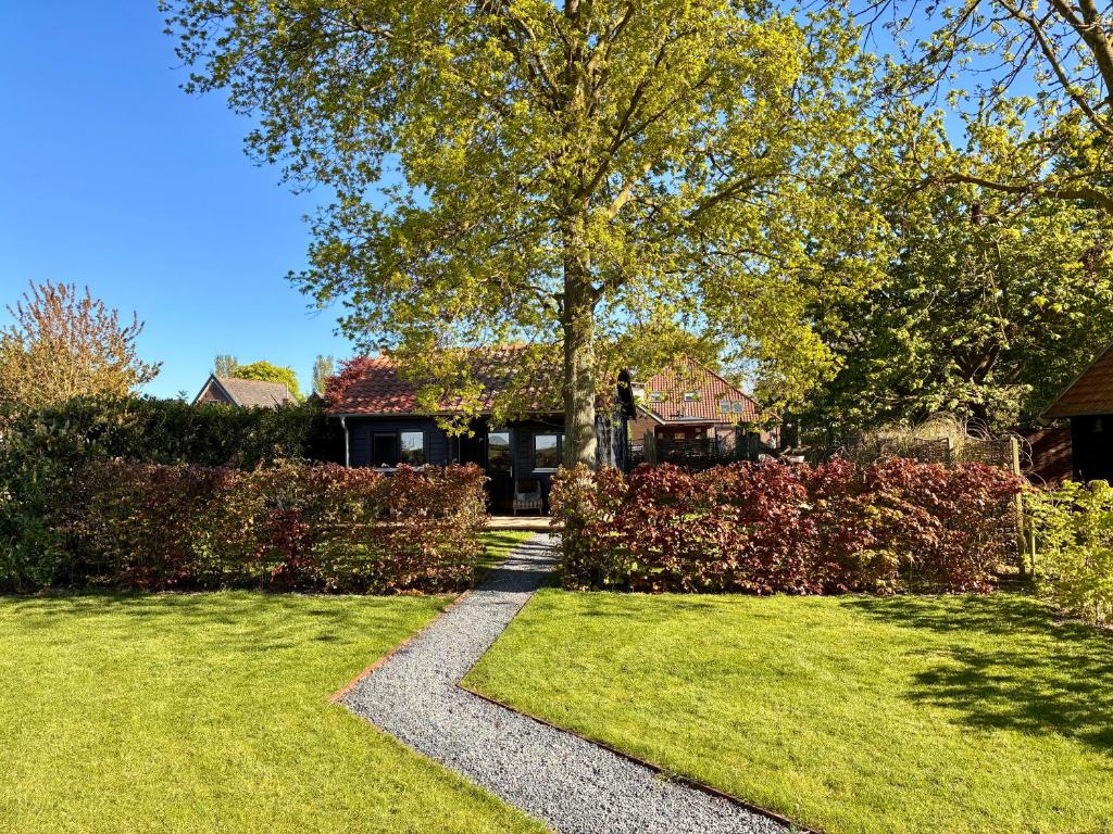a garden with a tree and a walk way at Landelijk gelegen houten huisje in Opperdoes