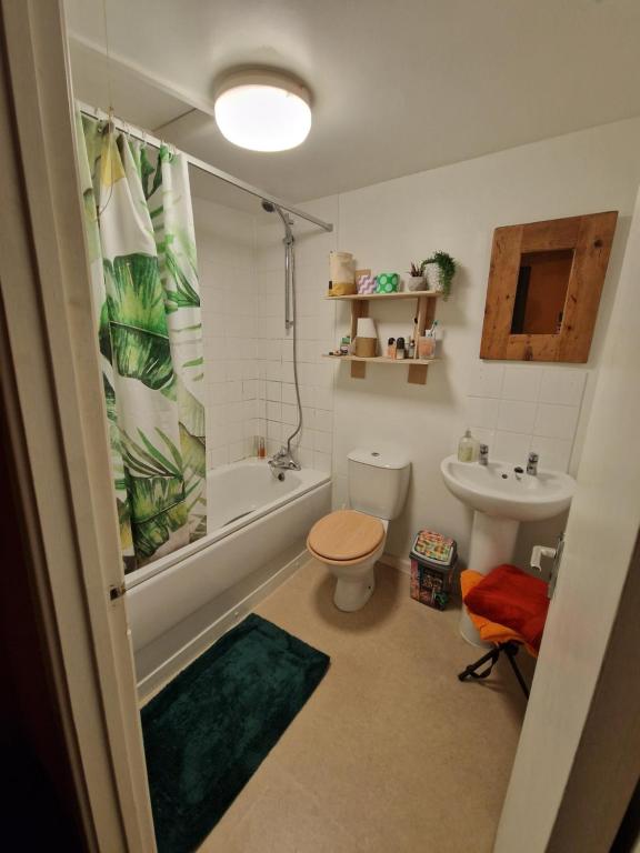a bathroom with a toilet and a sink and a shower at Brighton West Pier flat in Brighton & Hove