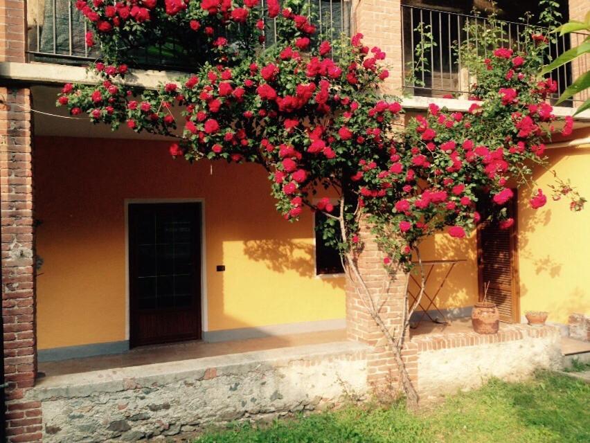 DonnazにあるVingerotoの建物前の赤い花の木